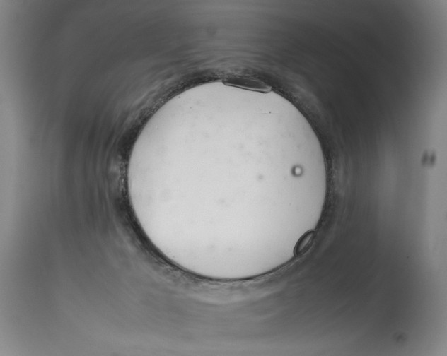 X0000114140029200911051430