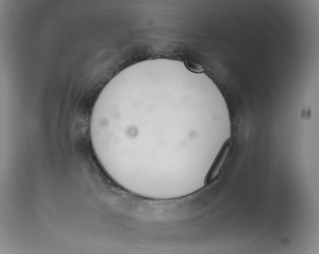 X0000114140033200911051430