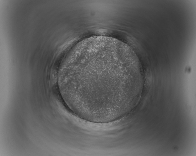 X0000114140043200911051430