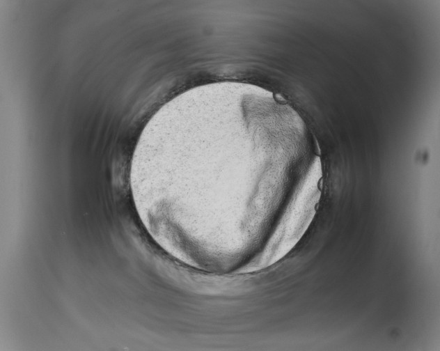 X0000114140044200911051430