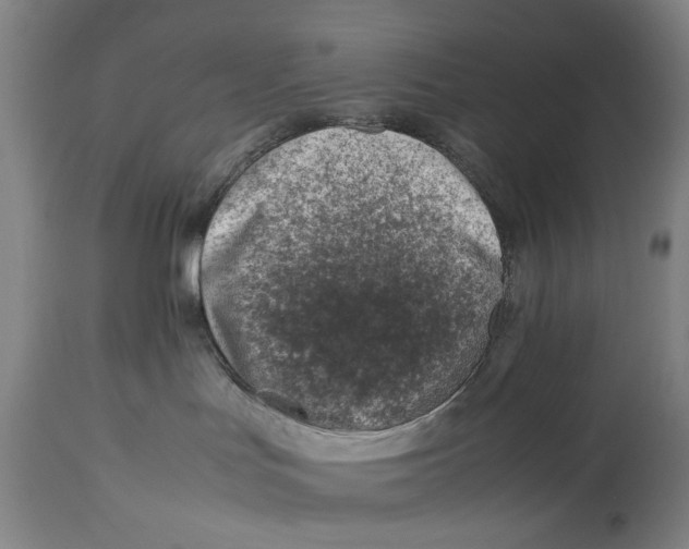 X0000114140047200911051430