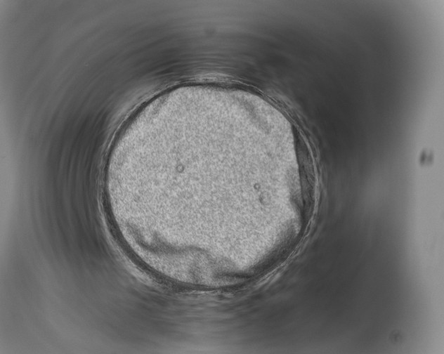 X0000114140049200911051429