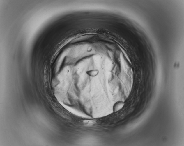 X0000114140050200911051429