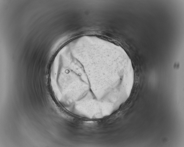 X0000114140053200911051429