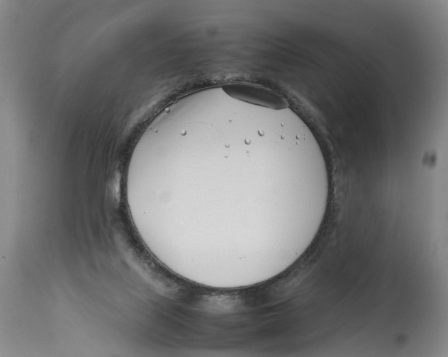 X0000114140067200911051430