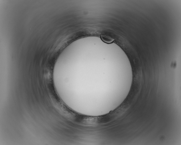 X0000114140084200911051430