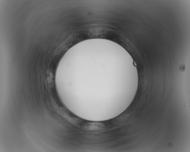 X0000114140087200911051430