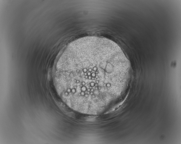 X0000114140090200911051430