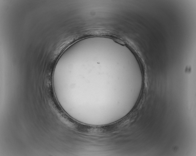 X0000114140105200911051429