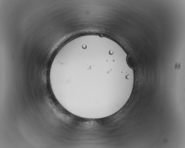 X0000114140112200911051429