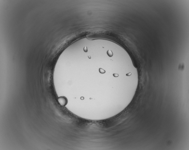 X0000114140115200911051429