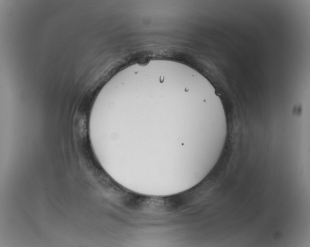 X0000114140123200911051429