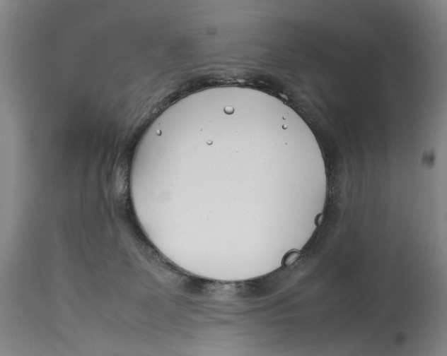 X0000114140131200911051429