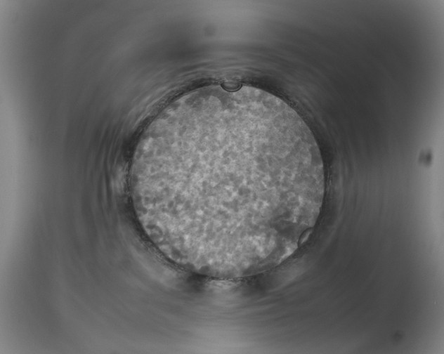 X0000114140139200911051429