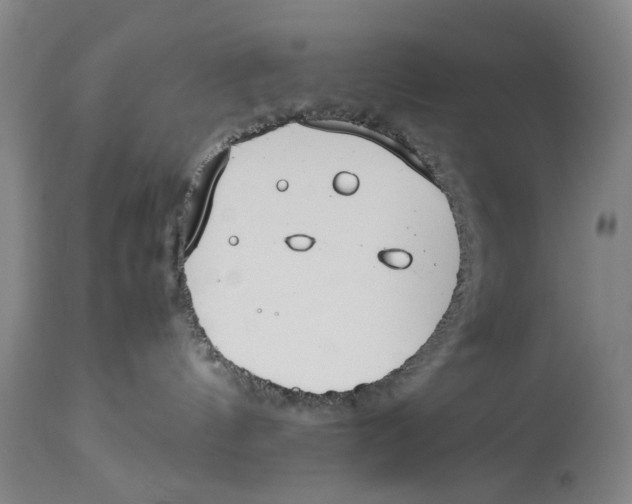 X0000114140144200911051429