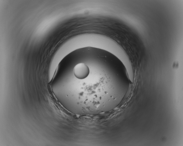 X0000114140146200911051428