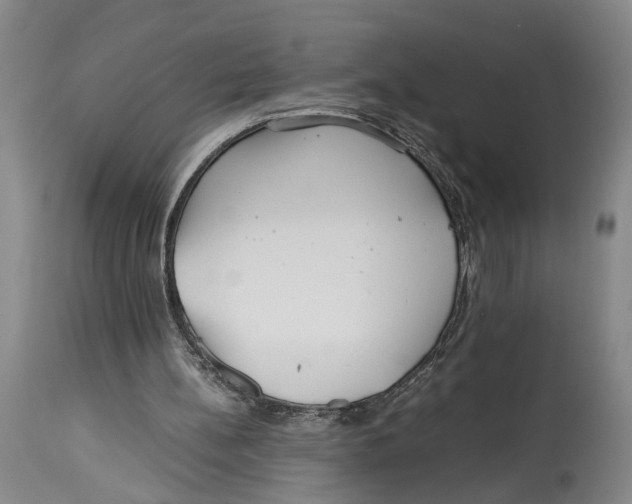 X0000114140148200911051428