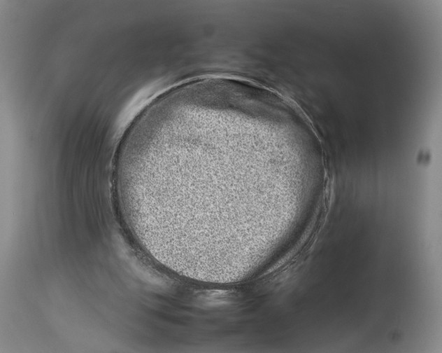 X0000114140151200911051428