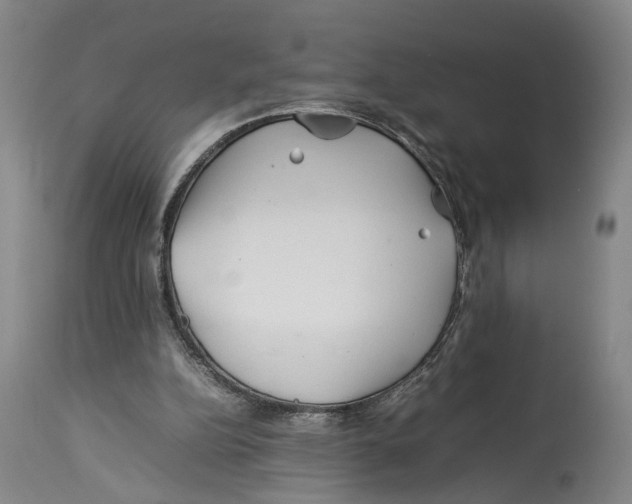 X0000114140152200911051428