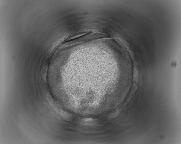 X0000114140153200911051428