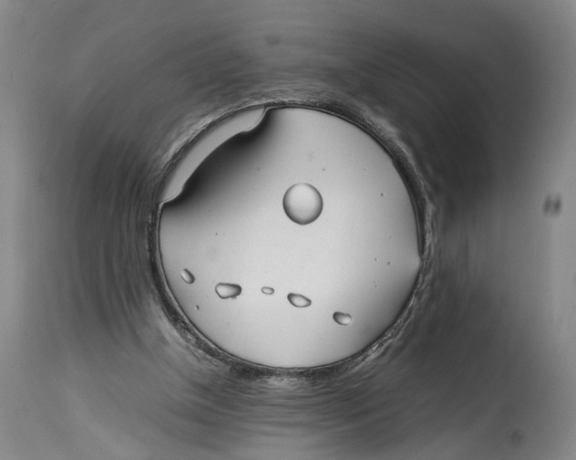 X0000114140154200911051428