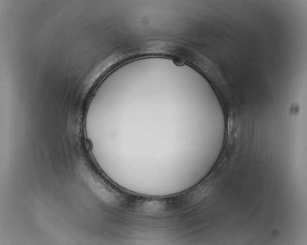 X0000114140156200911051428