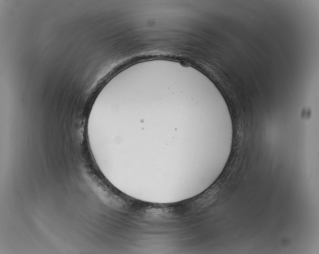 X0000114140160200911051428