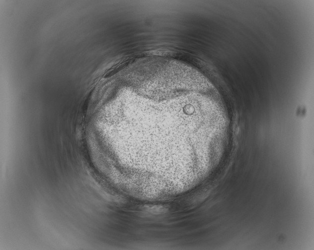 X0000114140161200911051428