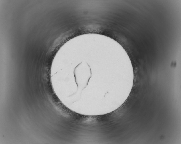 X0000114140162200911051428