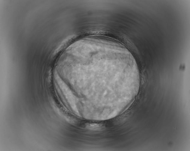 X0000114140163200911051428