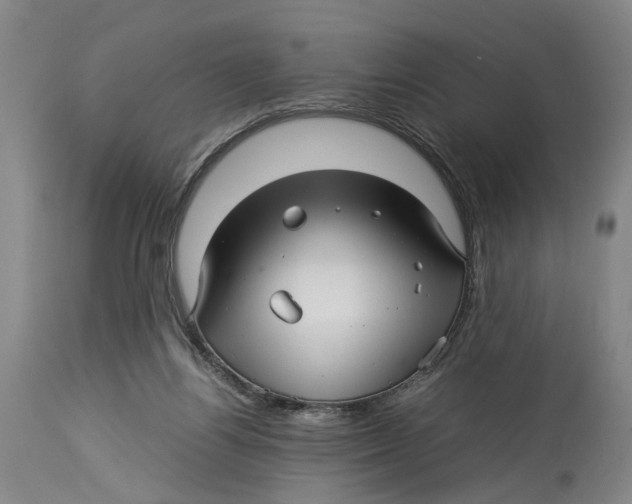 X0000114140164200911051428