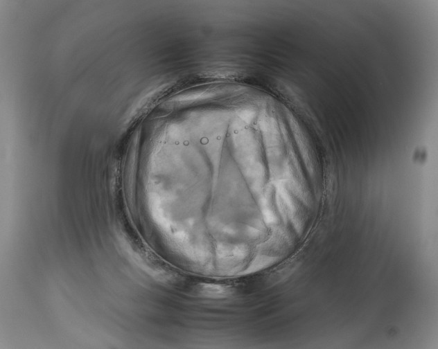 X0000114140167200911051428