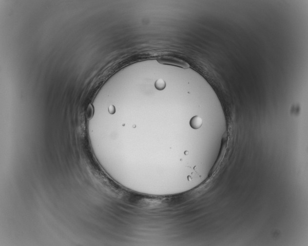 X0000114140170200911051428