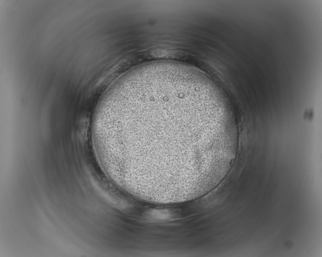 X0000114140171200911051428