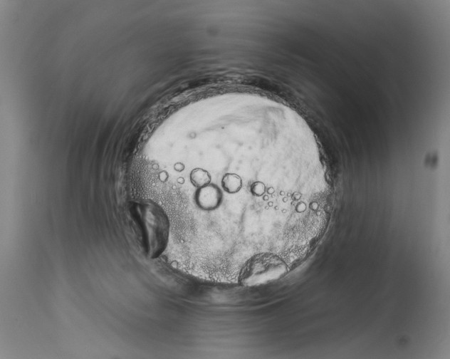 X0000114140178200911051429