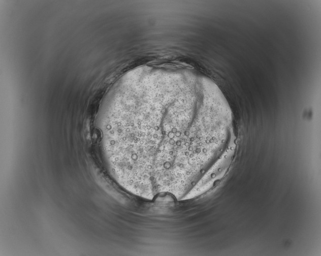 X0000114140182200911051429