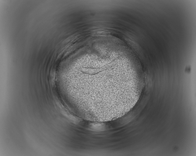 X0000114140189200911051429