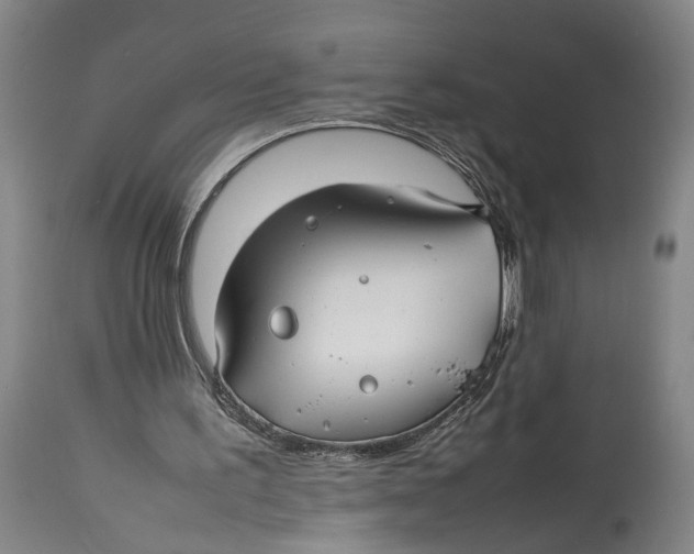 X0000114140195200911051428