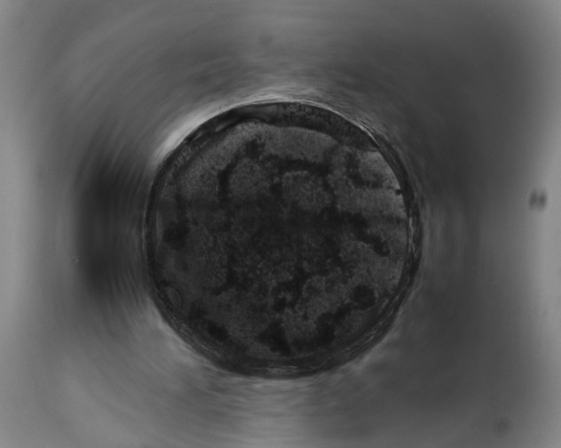 X0000114140196200911051428