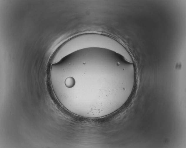 X0000114140199200911051428