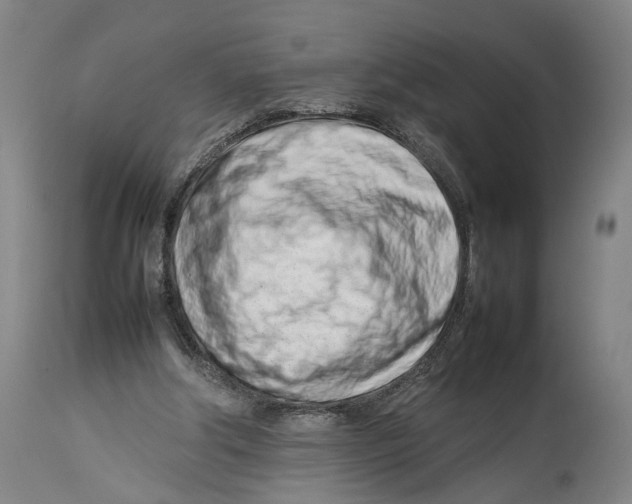 X0000114140202200911051428