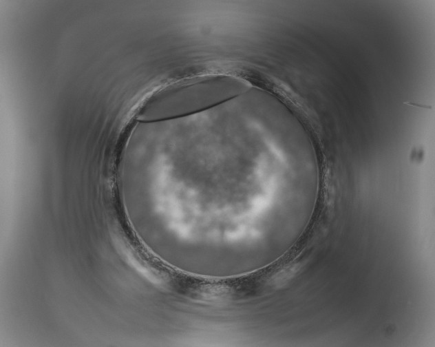 X0000114140203200911051428