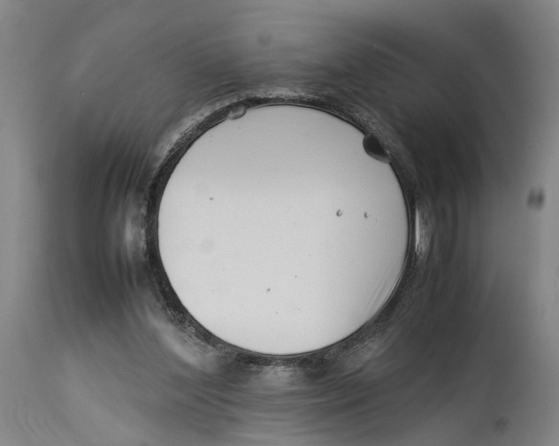 X0000114140204200911051428