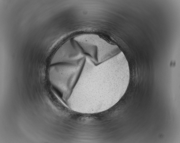 X0000114140208200911051428