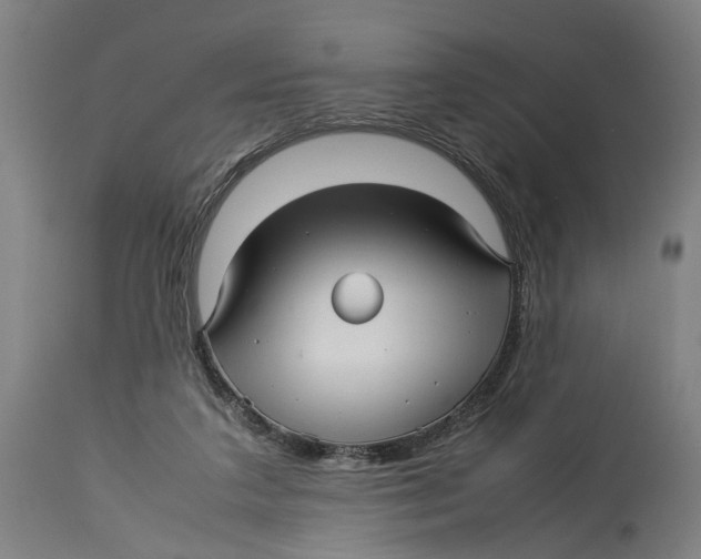 X0000114140211200911051428