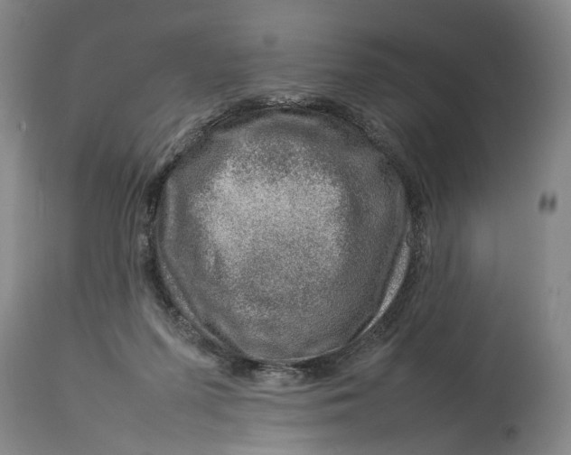 X0000114140215200911051428