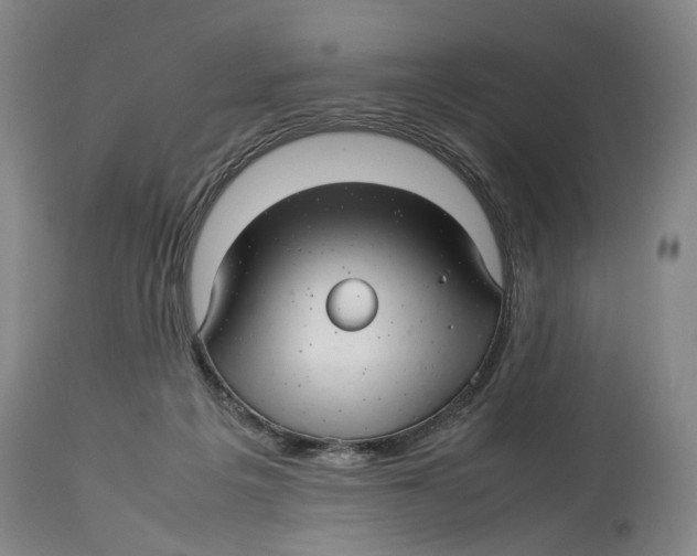 X0000114140217200911051428