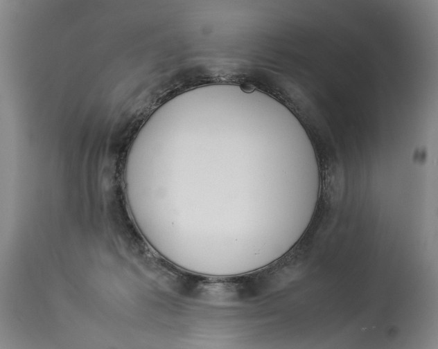 X0000114140221200911051428