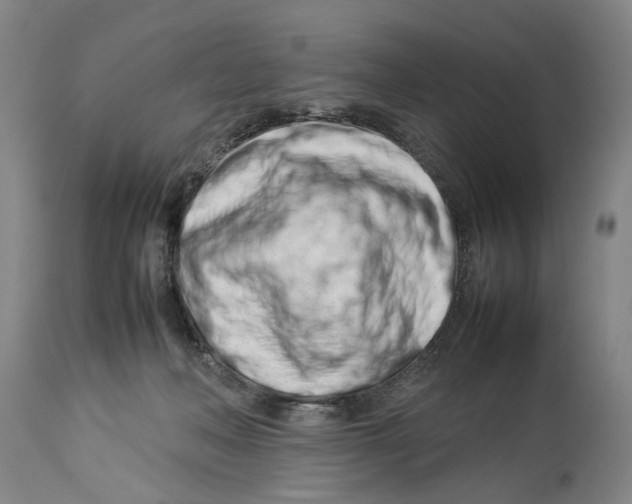 X0000114140222200911051428