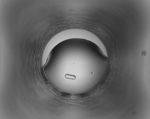 X0000114140223200911051428